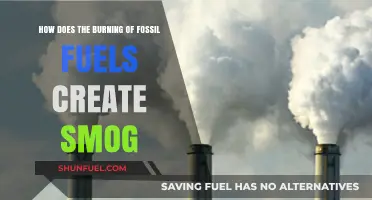 Fossil Fuel Combustion: The Smog-Creating Process Explained