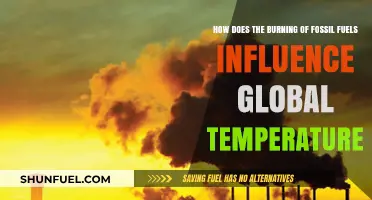Fossil Fuel Combustion: Its Impact on Rising Global Temperatures