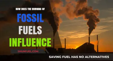 Burning Fossil Fuels: Climate Change, Air Pollution, and Environmental Impact
