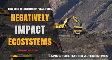 Fossil Fuel Burning: Devastating Effects on Ecosystems and Biodiversity