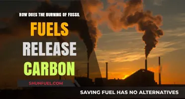 Fossil Fuel Combustion: Unveiling Carbon Release and Climate Impact