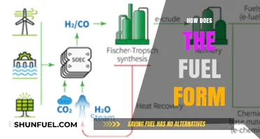 Understanding the Complex Process of How Fuel Forms Naturally