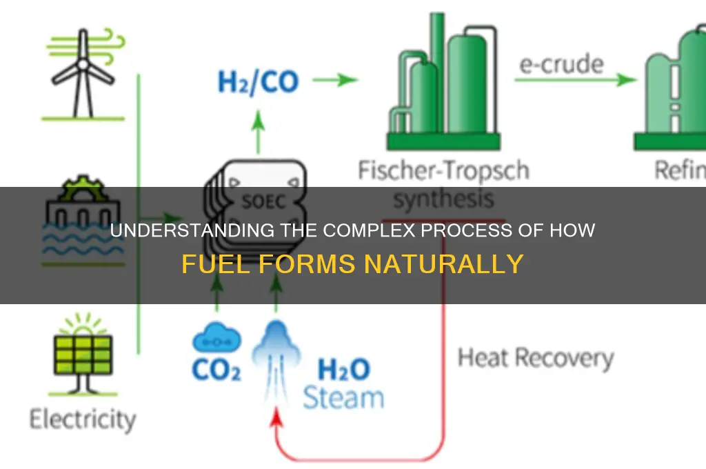 how does the fuel form