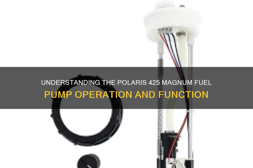 how does the fuel pump work on polaris 425 magnum