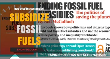 How Governments Subsidize Fossil Fuels: Policies, Impacts, and Alternatives