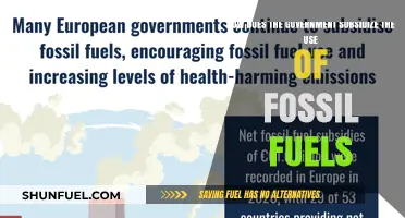 Government Subsidies for Fossil Fuels: Hidden Costs and Impacts