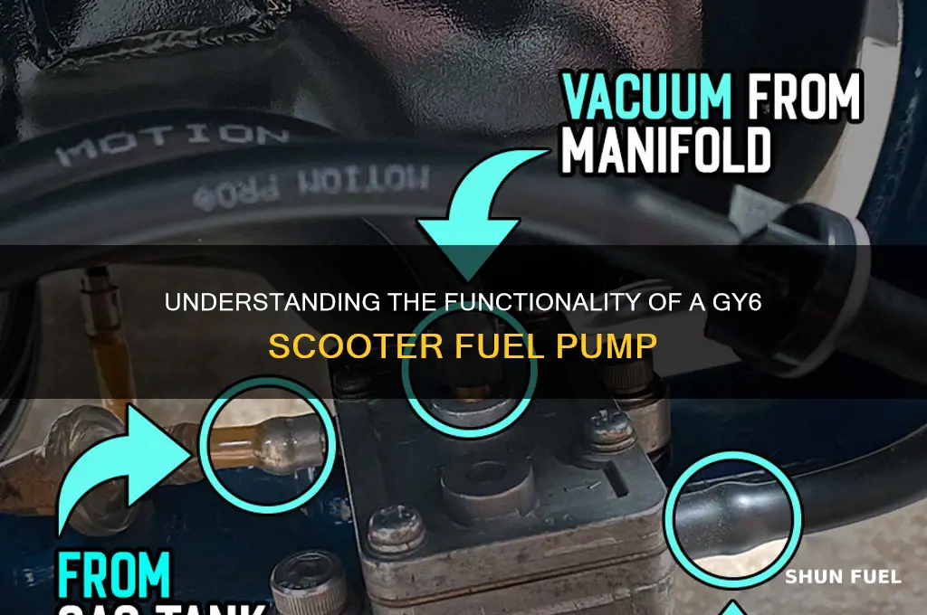 how does the gy6 scooter fuel pump work