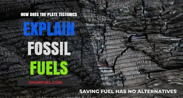 Plate Tectonics' Role in Fossil Fuel Formation and Distribution