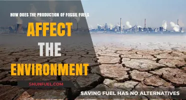 Fossil Fuel Production: Environmental Impacts and Sustainable Alternatives Explored