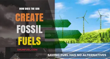 Sun's Ancient Energy: The Surprising Origins of Fossil Fuels