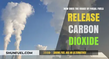 Fossil Fuels and CO2: Uncovering the Carbon Emission Process
