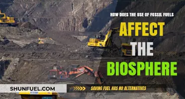 Fossil Fuels' Impact: Unraveling Their Devastating Effects on the Biosphere