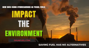 Hydrocarbon Fossil Fuels: Environmental Impacts and Sustainable Alternatives