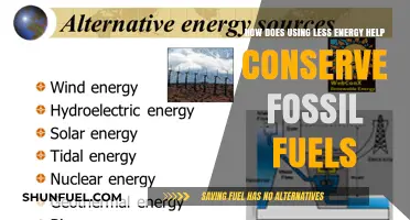 Reduce Energy Use: Preserve Fossil Fuels for a Sustainable Future