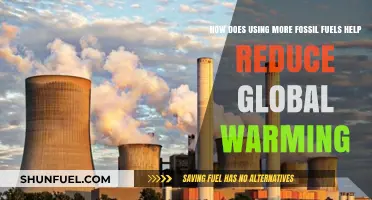Fossil Fuels and Global Warming: A Counterintuitive Approach to Climate Change