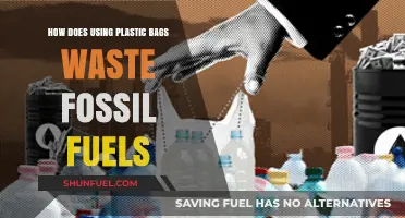 Plastic Bags' Hidden Cost: Wasting Fossil Fuels and Harming the Planet
