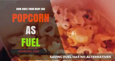 Popcorn Power: How Your Body Converts Kernels into Energy