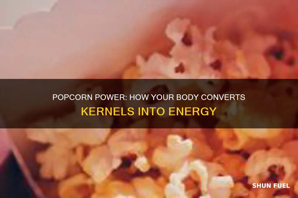 how does your body use popcorn as fuel