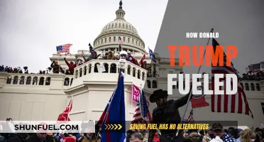 How Donald Trump Fueled Political Division and Populist Movements in America