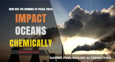 Fossil Fuel Combustion: Unraveling Its Chemical Impact on Ocean Ecosystems