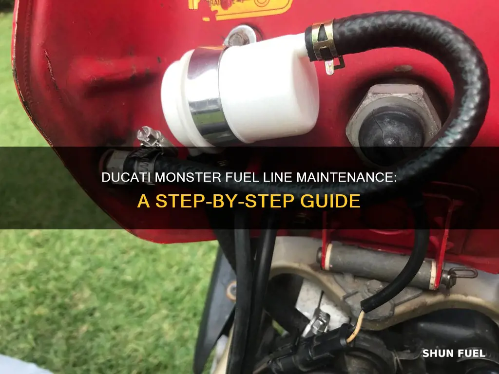 how drain fuel lines ducati monster