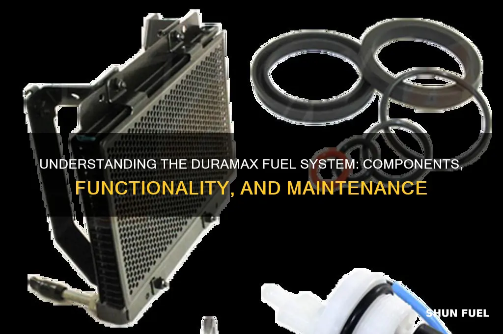how duramax fuel system works