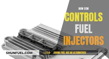 Engine Control Module: Fuel Injector Management and Precision
