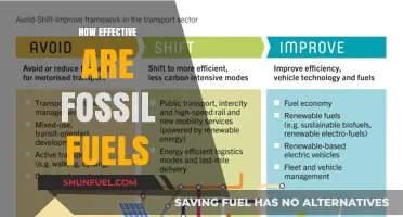 Fossil Fuels: Assessing Their Efficiency, Impact, and Future Sustainability