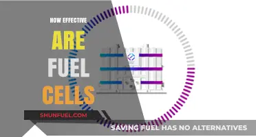 Fuel Cells: Unlocking Clean Energy Potential and Real-World Efficiency