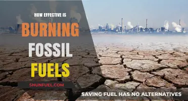 Burning Fossil Fuels: Assessing Environmental Impact and Energy Efficiency