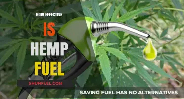 Hemp Fuel: A Sustainable Alternative or Overhyped Energy Source?