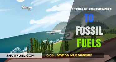 Biofuels vs. Fossil Fuels: Efficiency, Sustainability, and Environmental Impact