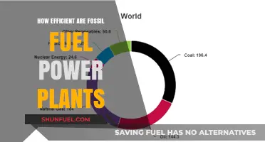 Fossil Fuel Power Plants: Efficiency, Environmental Impact, and Future Alternatives