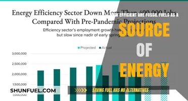 Fossil Fuels Efficiency: Energy Source Analysis and Environmental Impact