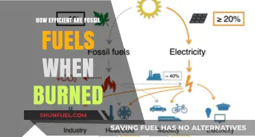 Fossil Fuels: Uncovering the Efficiency and Environmental Impact of Combustion