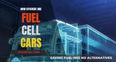 Fuel Cell Cars: Are They Worth the Hype?