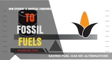 Biodiesel vs. Fossil Fuels: Efficiency, Sustainability, and Environmental Impact