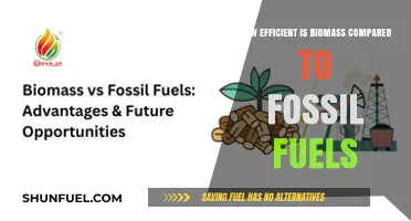 Biomass vs. Fossil Fuels: Efficiency, Sustainability, and Energy Comparison