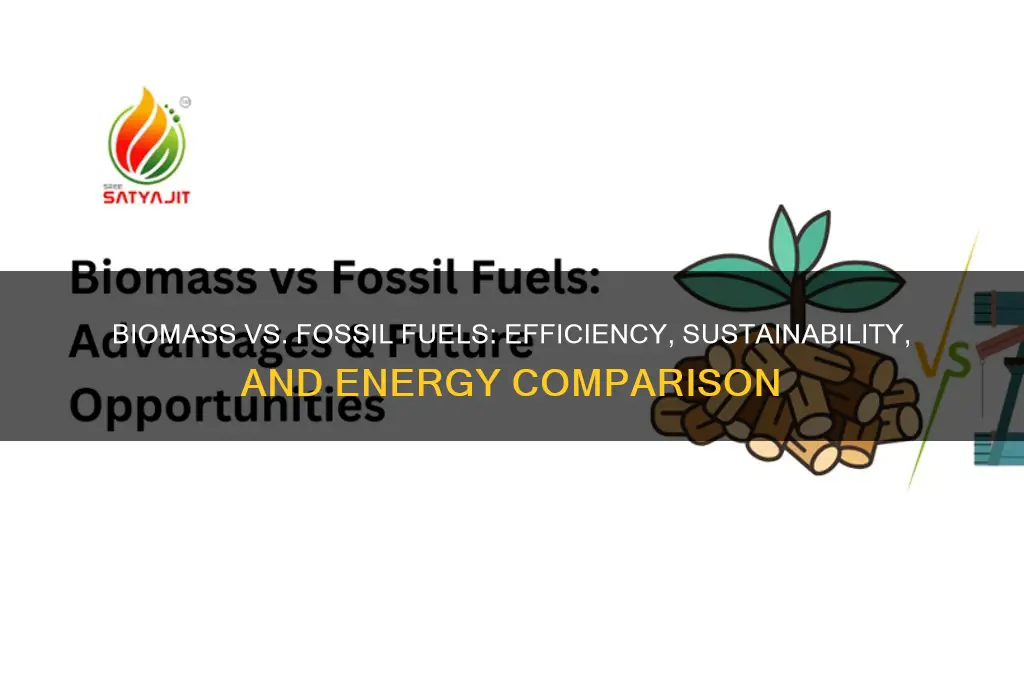 how efficient is biomass compared to fossil fuels