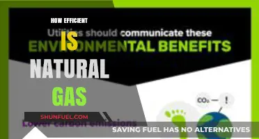 Exploring the Efficiency of Natural Gas: A Comprehensive Analysis