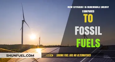 Renewable Energy vs. Fossil Fuels: Efficiency, Sustainability, and Future Prospects