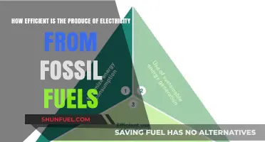 Fossil Fuels' Electricity Production: Efficiency, Impact, and Sustainability Analysis