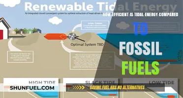 Tidal Energy vs. Fossil Fuels: Efficiency, Sustainability, and Future Prospects