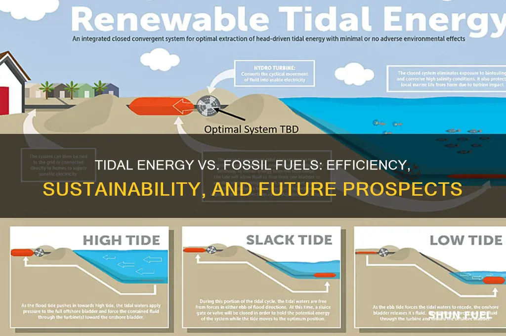 how efficient is tidal energy compared to fossil fuels