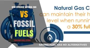Natural Gas Efficiency: A Cleaner Alternative to Fossil Fuels?