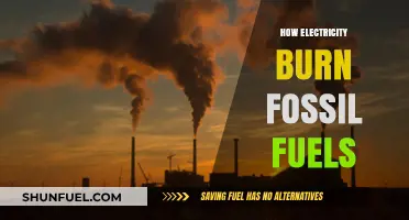 Electricity Generation: The Fossil Fuel Burning Process Explained