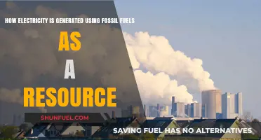 Powering the World: Fossil Fuels' Role in Electricity Generation