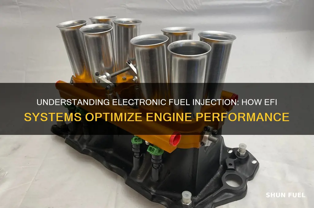 how electronic fuel injection works