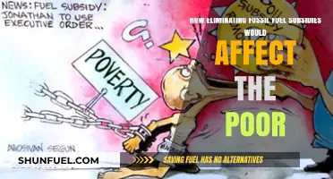 Ending Fossil Fuel Subsidies: Impact on Low-Income Communities Explored