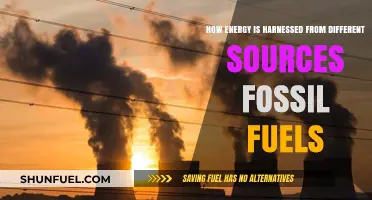 Harnessing Energy: Exploring Fossil Fuels and Their Power Potential